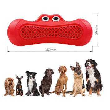 Why Your Pet Needs Vocal Rugby Pet Toys